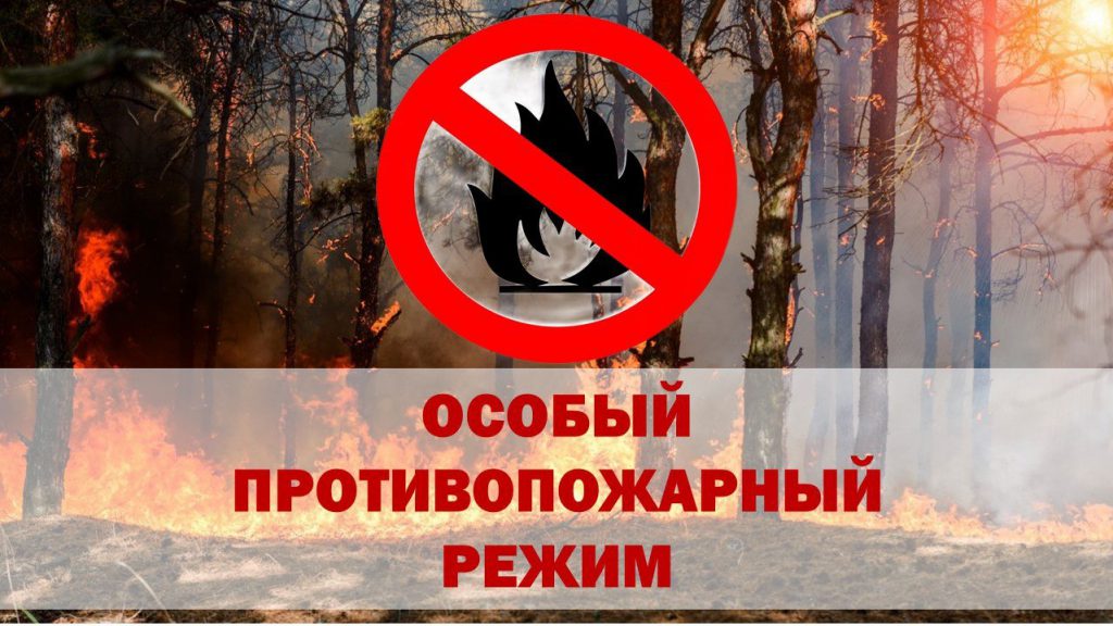 Об установлении на территории Ульяновской области особого противопожарного режима.