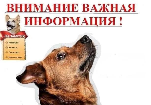 ⚠️⚠️⚠️Важная информация из Ульяновской области ⚠️⚠️⚠️. ⚠️⚠️⚠️Важная информация из Ульяновской области ⚠️⚠️⚠️.