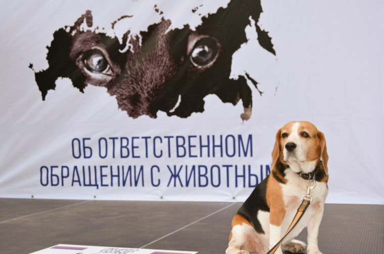 Прокуратура информирует. Прокуратура информирует.
